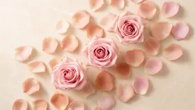 Cosmetología Profesional - Tratamientos de Cabina